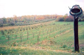 Radke’s Orchards